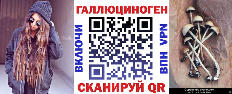 Купить где  Куровское  Галлюциногенные грибы мицелий 